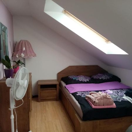 Podkrovni Apartman Tereza Apartamento Rumburk Exterior foto