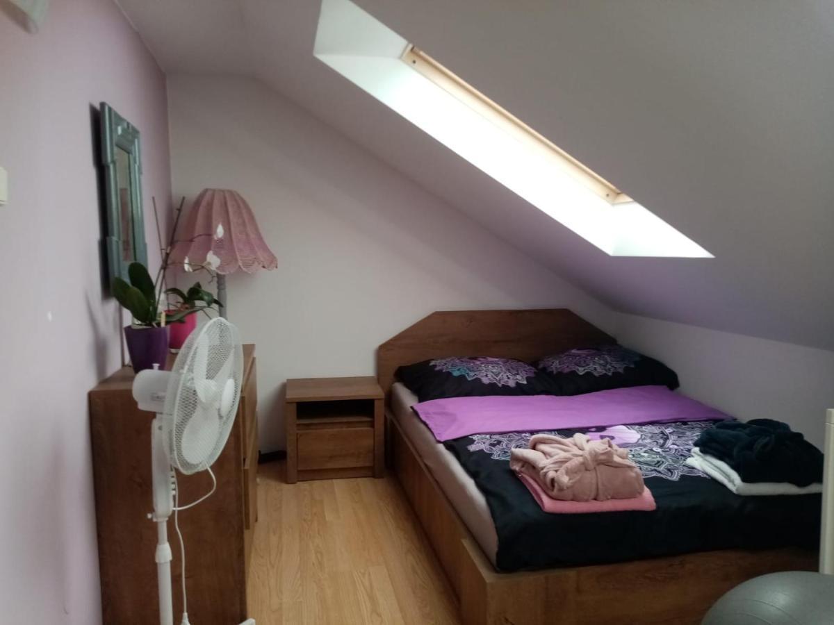 Podkrovni Apartman Tereza Apartamento Rumburk Exterior foto