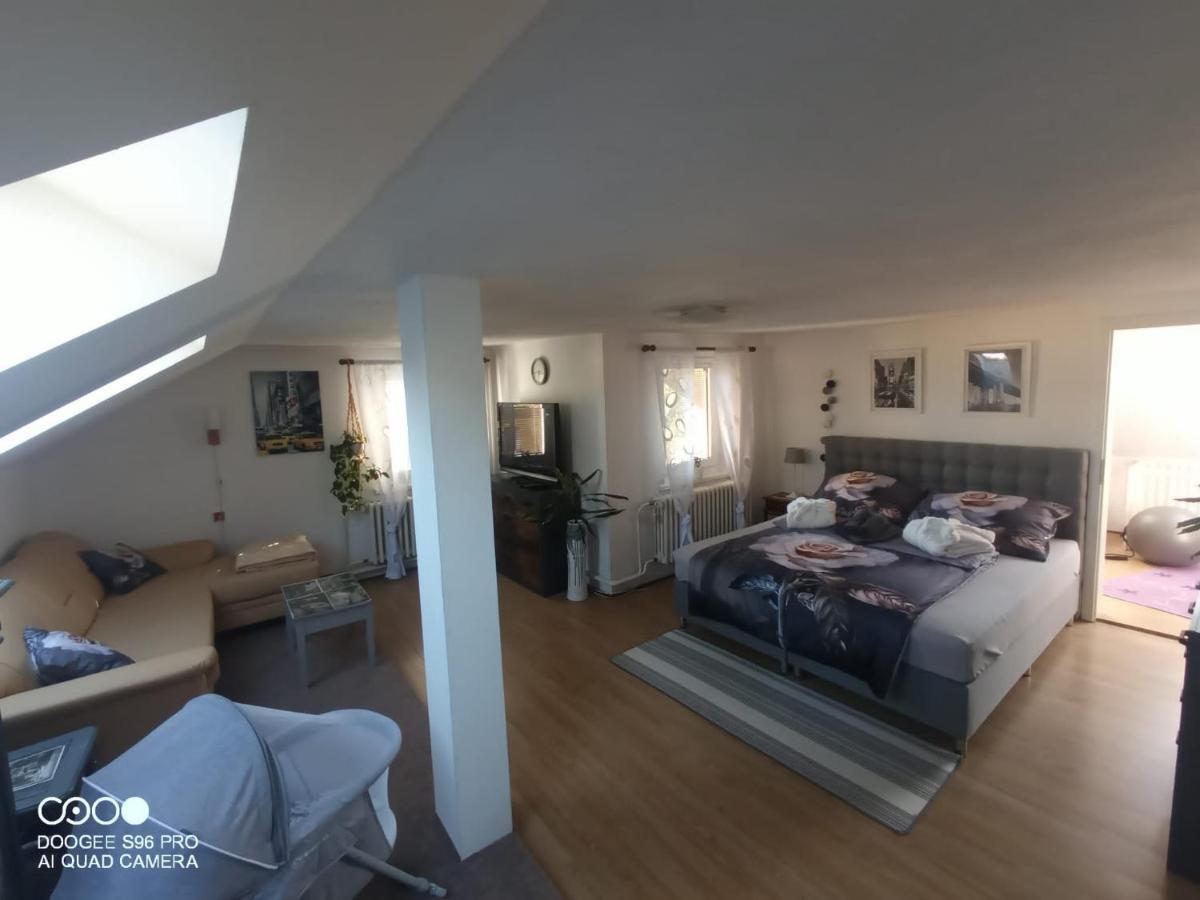 Podkrovni Apartman Tereza Apartamento Rumburk Exterior foto