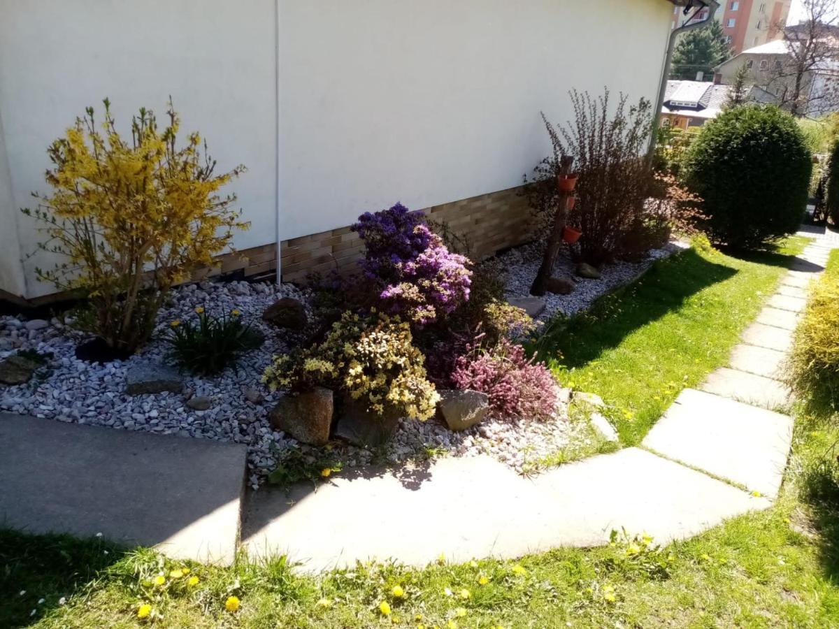 Podkrovni Apartman Tereza Apartamento Rumburk Exterior foto